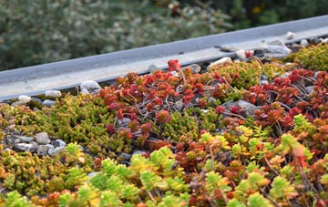 the cost of Compton Durville green roof installation