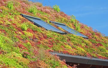 Compton Durville living roof systems